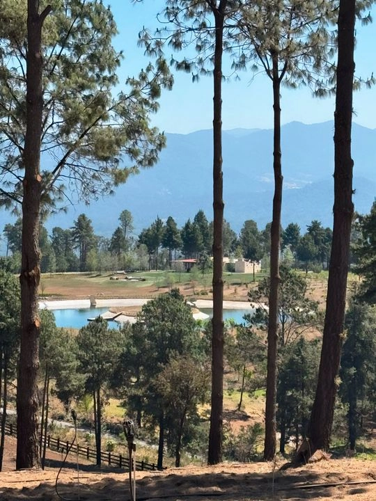 La Profepa y la FGR aseguraron un predio en el poblado de Mesa Rica, en este municipio del sur del estado de México.